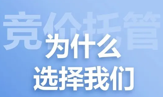 百度竞价代运营